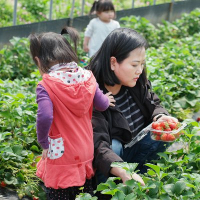 아기학교 23기 (5~8주) 사진 36