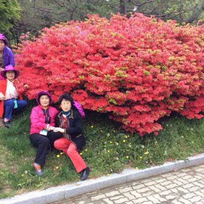 2015 경로대학 봄소풍 사진 6
