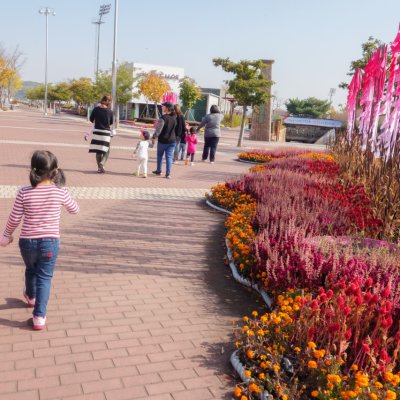아기학교 24기 (5~8주) 사진 209