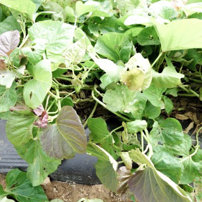아기학교 26기 (1~4주) 사진 160