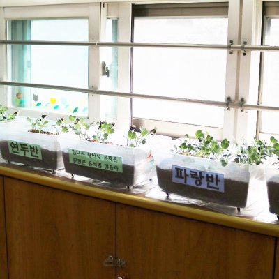아기학교 26기 (5~8주) 사진 15