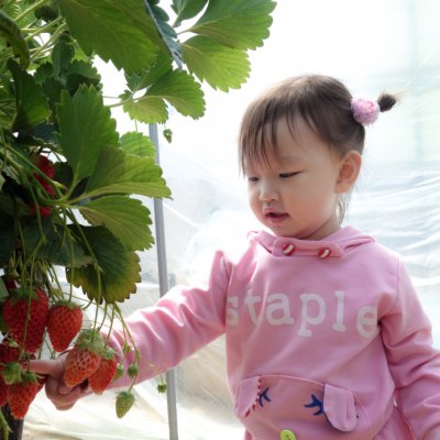 아기학교 27기 (4~6주) 사진 8