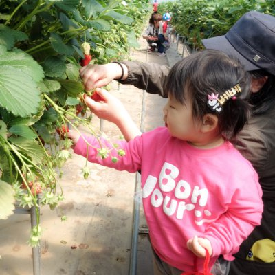 아기학교 27기 (4~6주) 사진 9