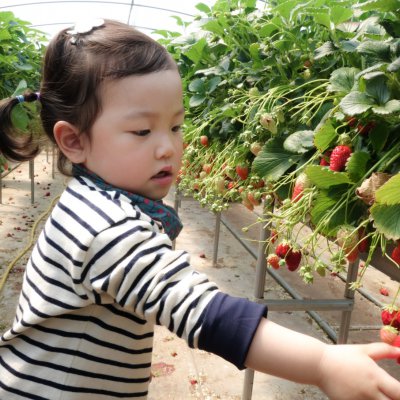 아기학교 27기 (4~6주) 사진 11