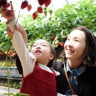 아기학교 27기 (4~6주) 사진 20