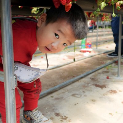 아기학교 27기 (4~6주) 사진 26