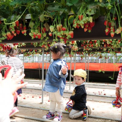 아기학교 27기 (4~6주) 사진 33