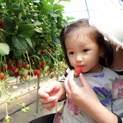 아기학교 27기 (4~6주) 사진 37