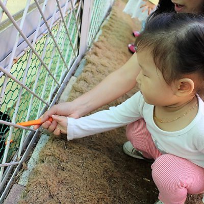 아기학교 28기 (1~3주) 사진 178