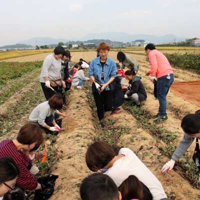 아기학교 28기 (4~6주) 사진 189