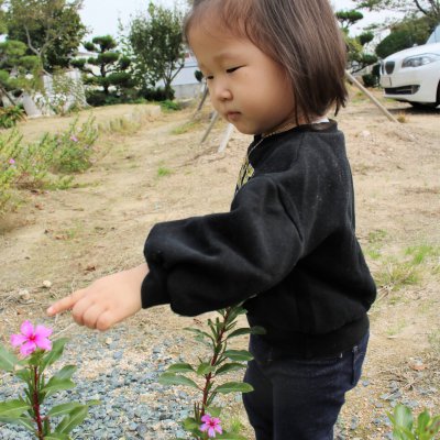 아기학교 28기 (4~6주) 사진 257