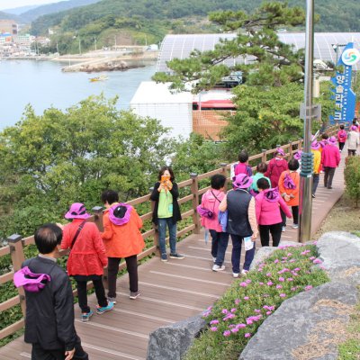 2017년 양정경로대학 사진 53