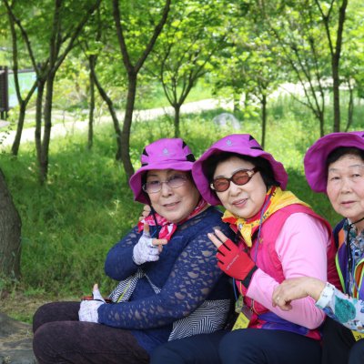 2017년 양정경로대학 사진 84