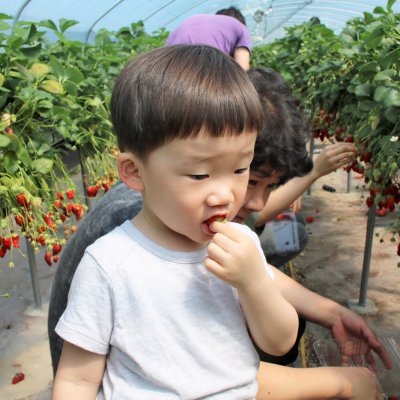 아기학교 29기 (4~6주) 사진 2