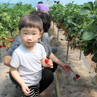 아기학교 29기 (4~6주) 사진 3