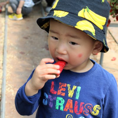 아기학교 29기 (4~6주) 사진 6