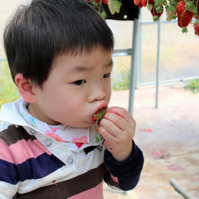 아기학교 29기 (4~6주) 사진 14