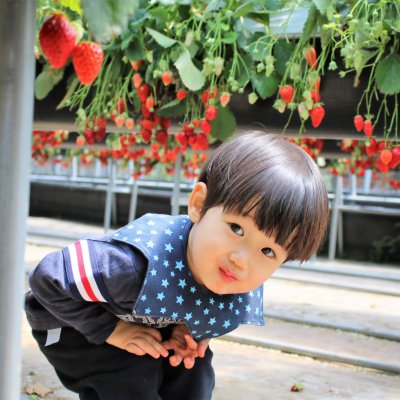 아기학교 29기 (4~6주) 사진 20