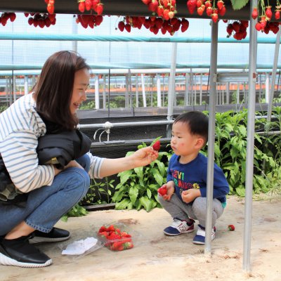 아기학교 29기 (4~6주) 사진 21