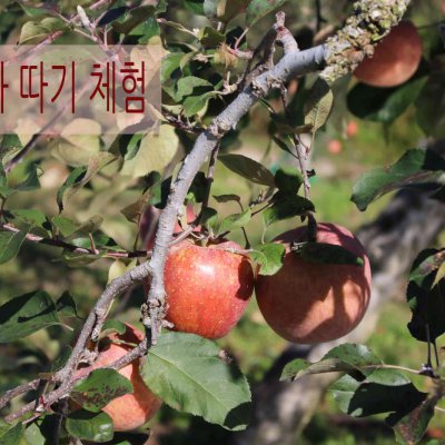 2018년 구역 권찰 가을 나들이 사진 15