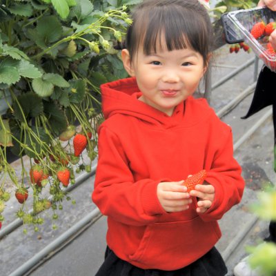 아기학교 31기 (상반기) 사진 144
