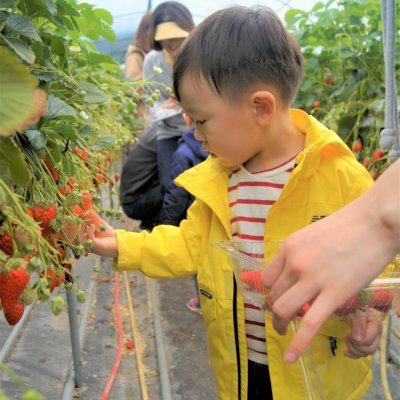아기학교 31기 (상반기) 사진 146