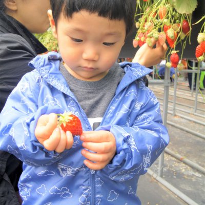 아기학교 31기 (상반기) 사진 155