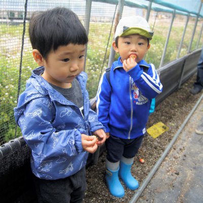 아기학교 31기 (상반기) 사진 157