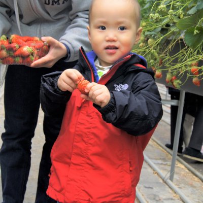 아기학교 31기 (상반기) 사진 158
